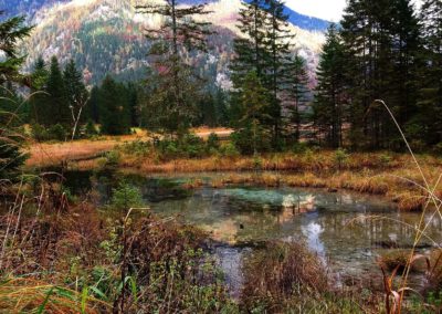 Brunnsee Herbst 1 400x284 - Hikes