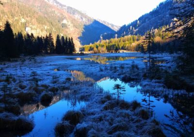 Brunnsee Winter 8 400x284 - Wanderungen