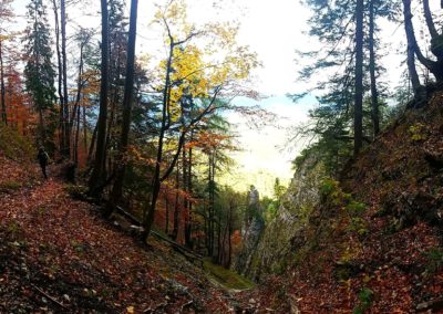 Herbst wanderung 400x284 - Természet