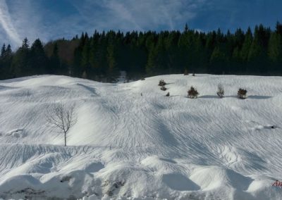 Land im Winter 1 400x284 - Nature