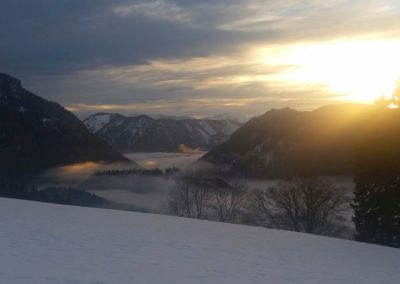 Weichsel 400x284 - Naturschönheiten